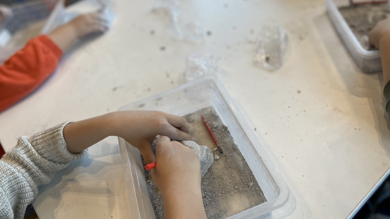 Sömestr Tatiline Özel Etkinlikler