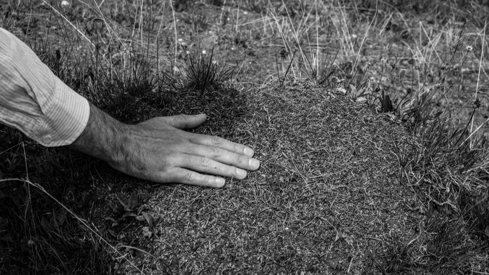 Taş Mektep: Dışarısı Büyüyor