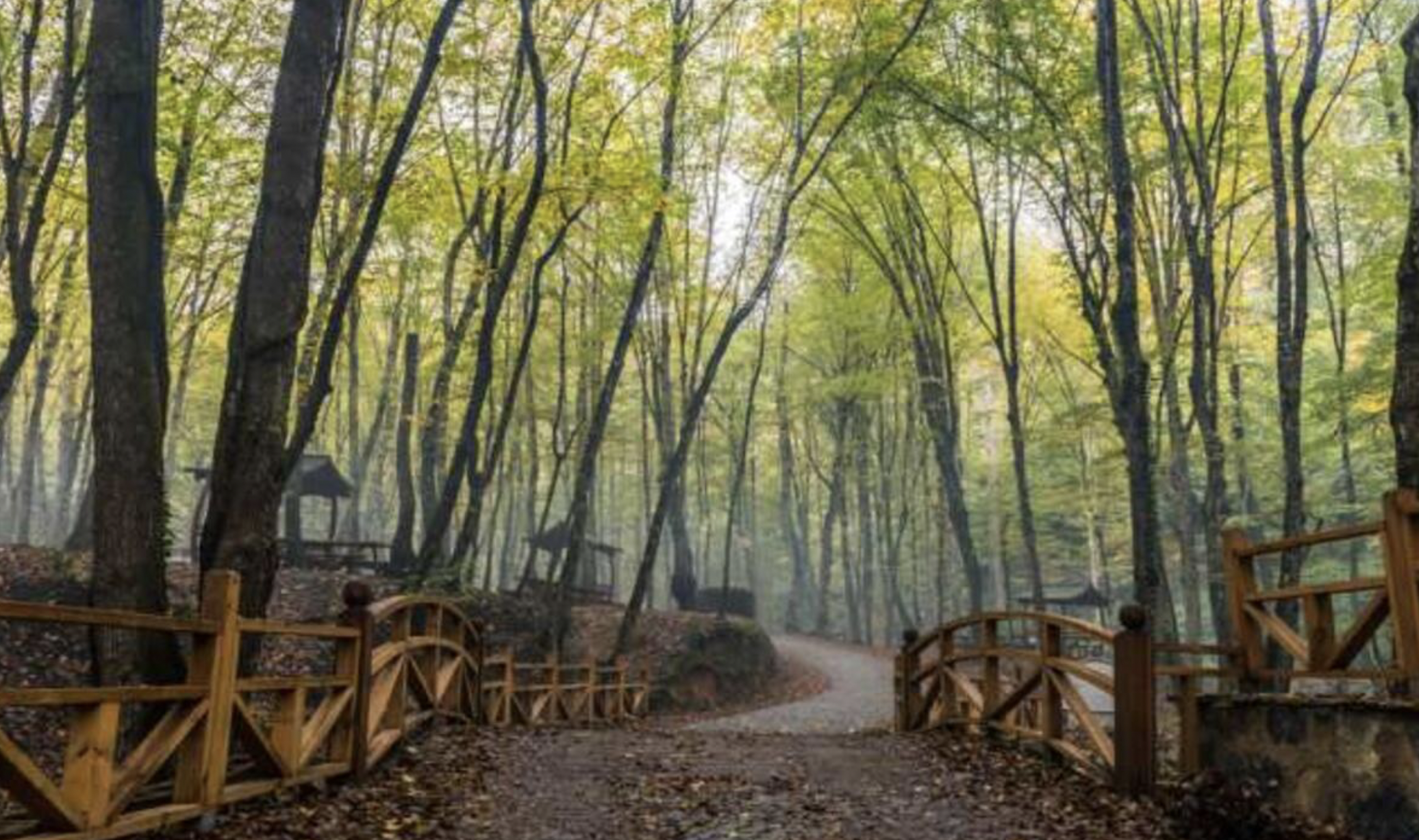 Tarih ve Doğa Çubuklu Korusu'nda Buluştu