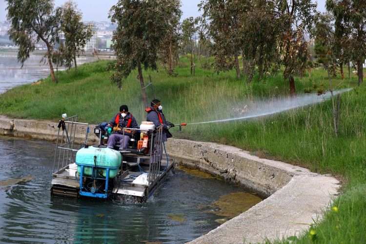 Sivrisinekle Mücadelede Önlemler Artırıldı