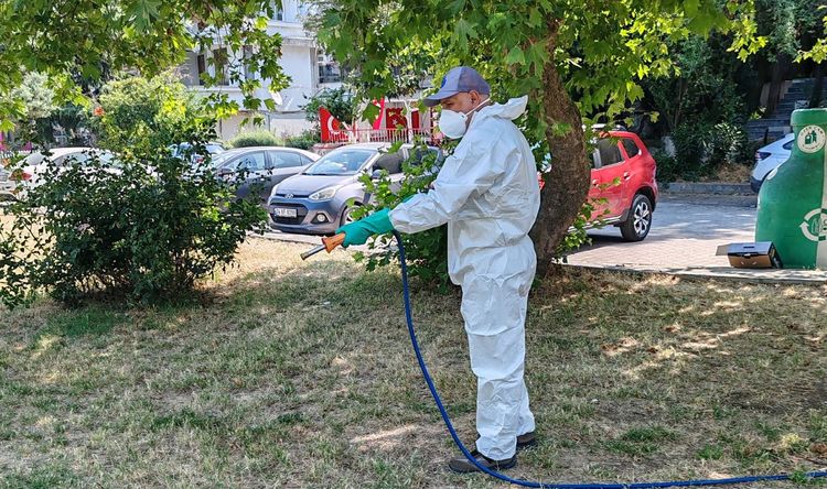 İBB'den Kenelere Karşı Yaz Mesaisi