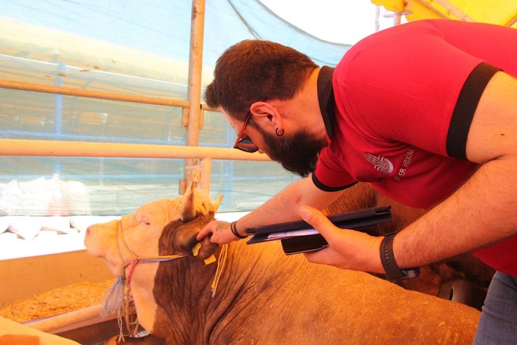 İstanbul Kurban Bayramı'na Hazır