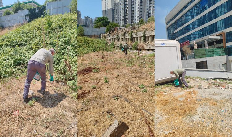 Kemirgen Sorununa Karşı Hızlı Müdahale