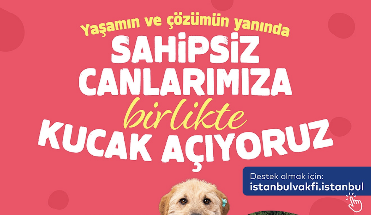 Sahipsiz Canlarımıza Birlikte Kucak Açıyoruz!