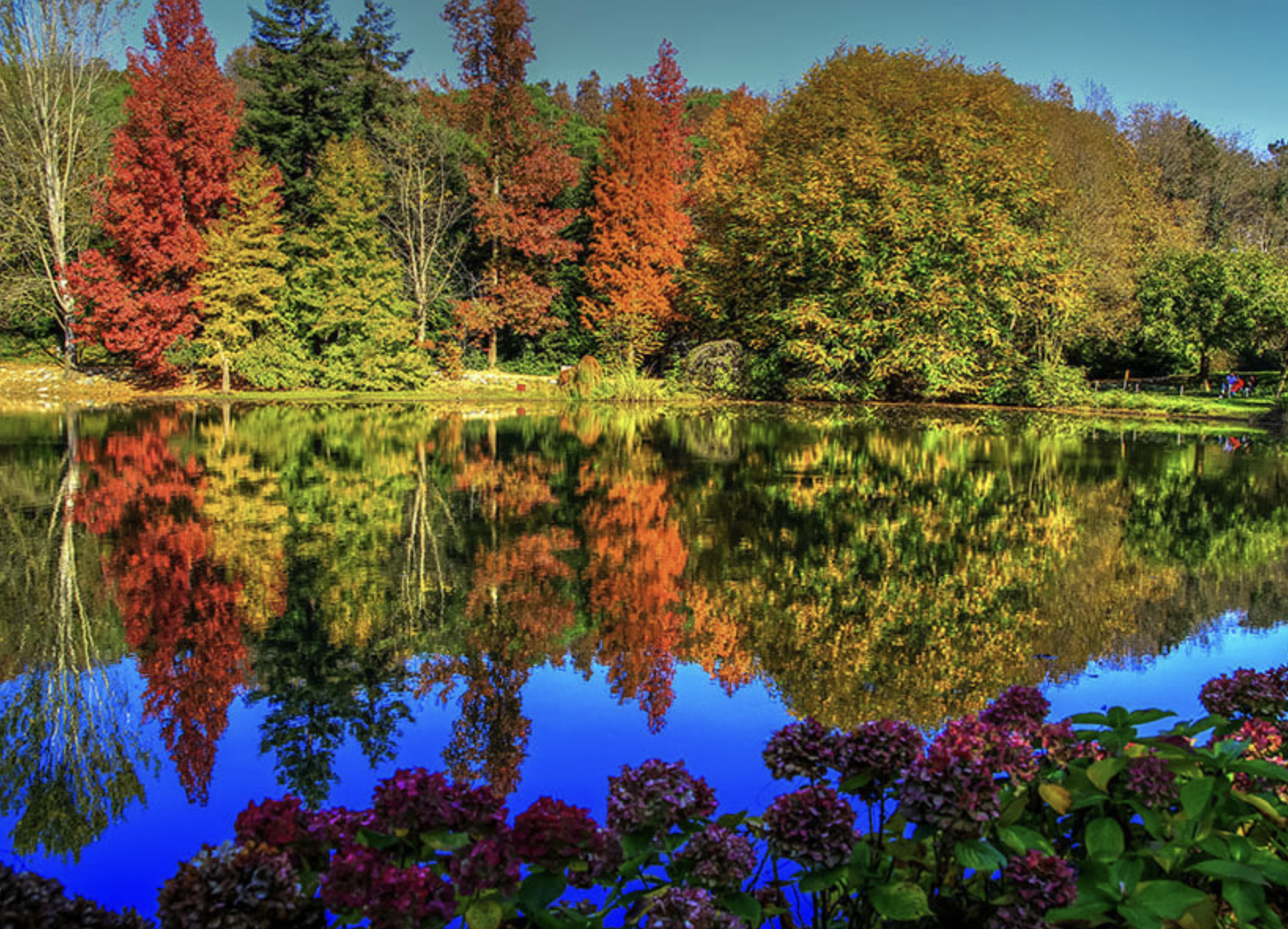 Atatürk Arboretumu'nda Kendinizi Yenileyin