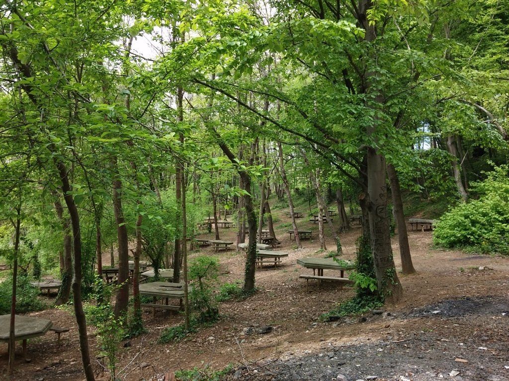 Kaymakdonduran Mesire Ormanı