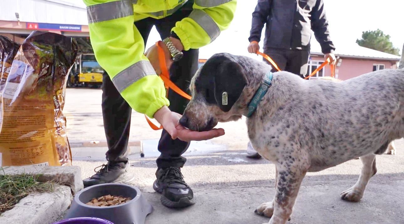 Benim Şirketim Onun Yuvası!