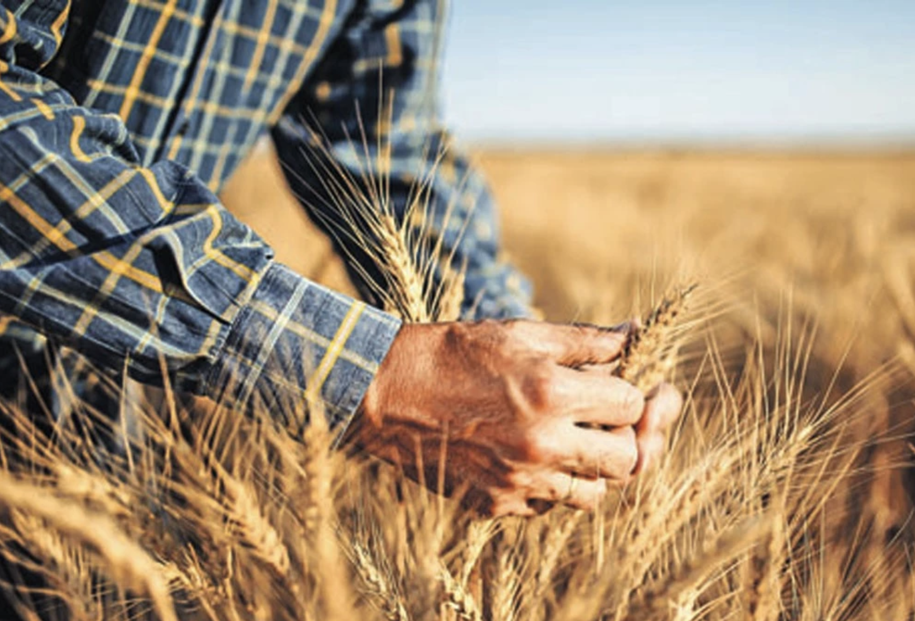 İBB’den Tarıma Destek