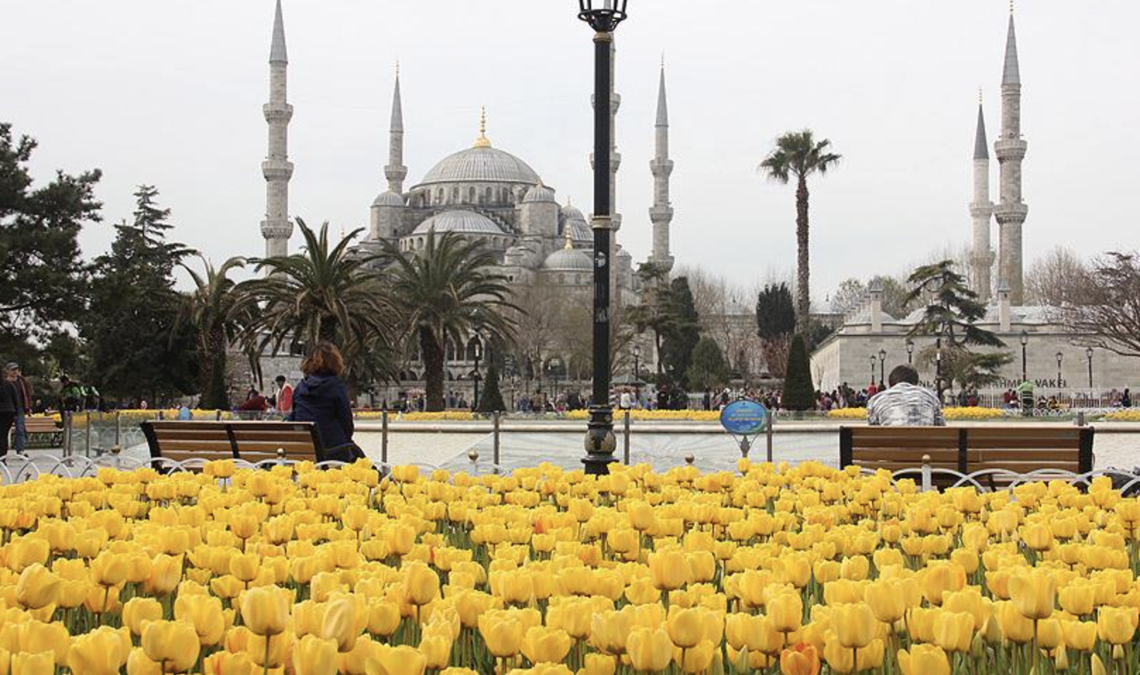 İstanbul’da Lale Mevsimi