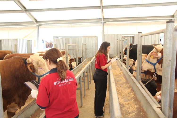 4  Modern Tesis Kurban Bayramı'na Hazır
