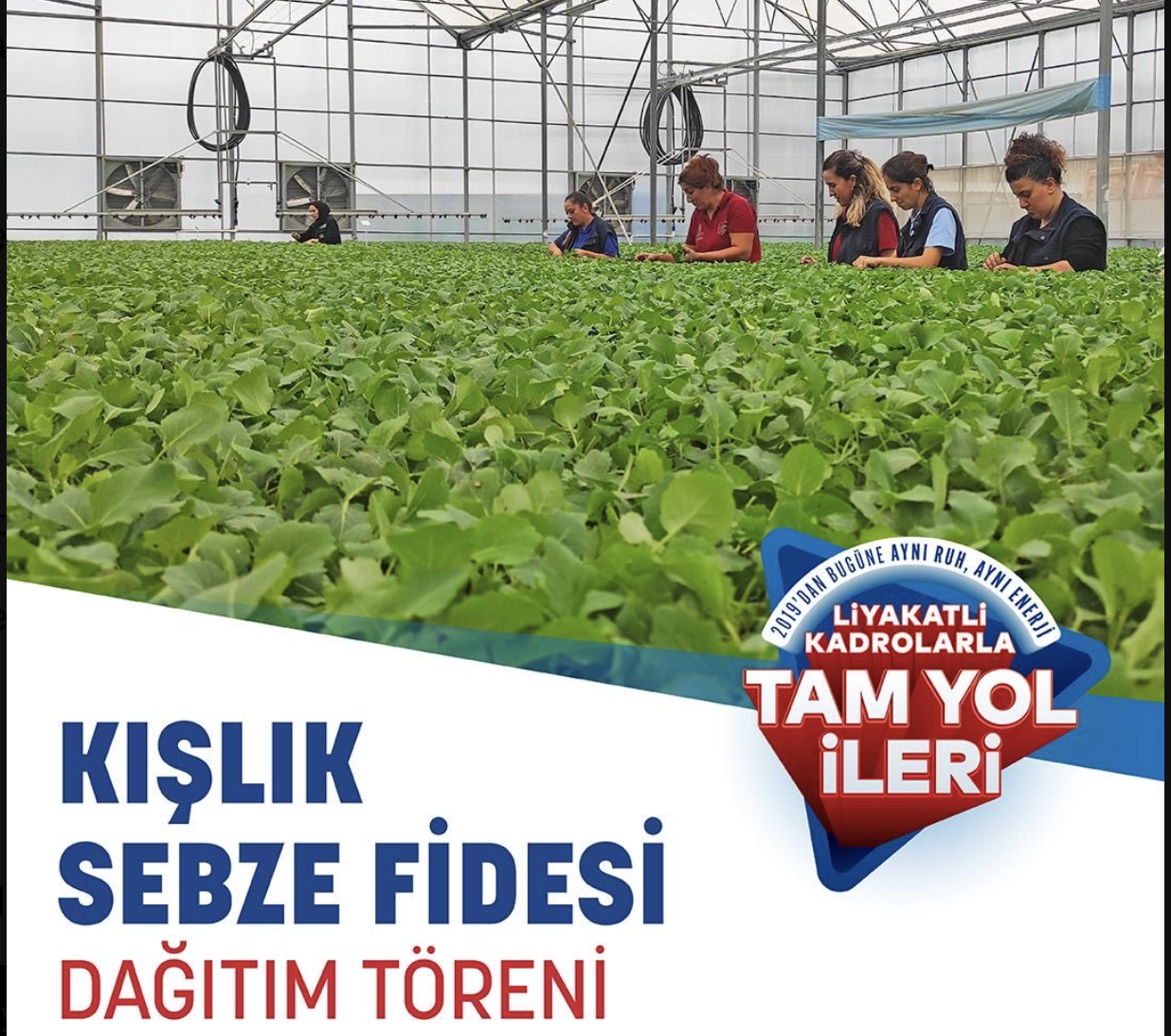 Kışlık Sebze Fideleri Üreticilerle Buluşuyor